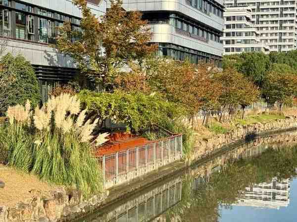 Creekside property beside buildings showing why bank conditions and drainage planning should be reviewed